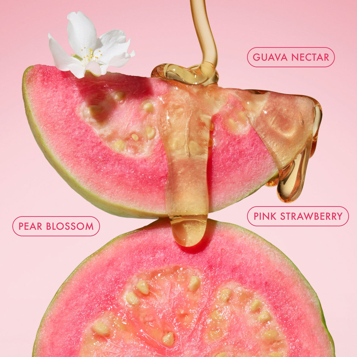 mini-body-butter-trio-w6 BodyButterBalmPinkGuava_3.jpg