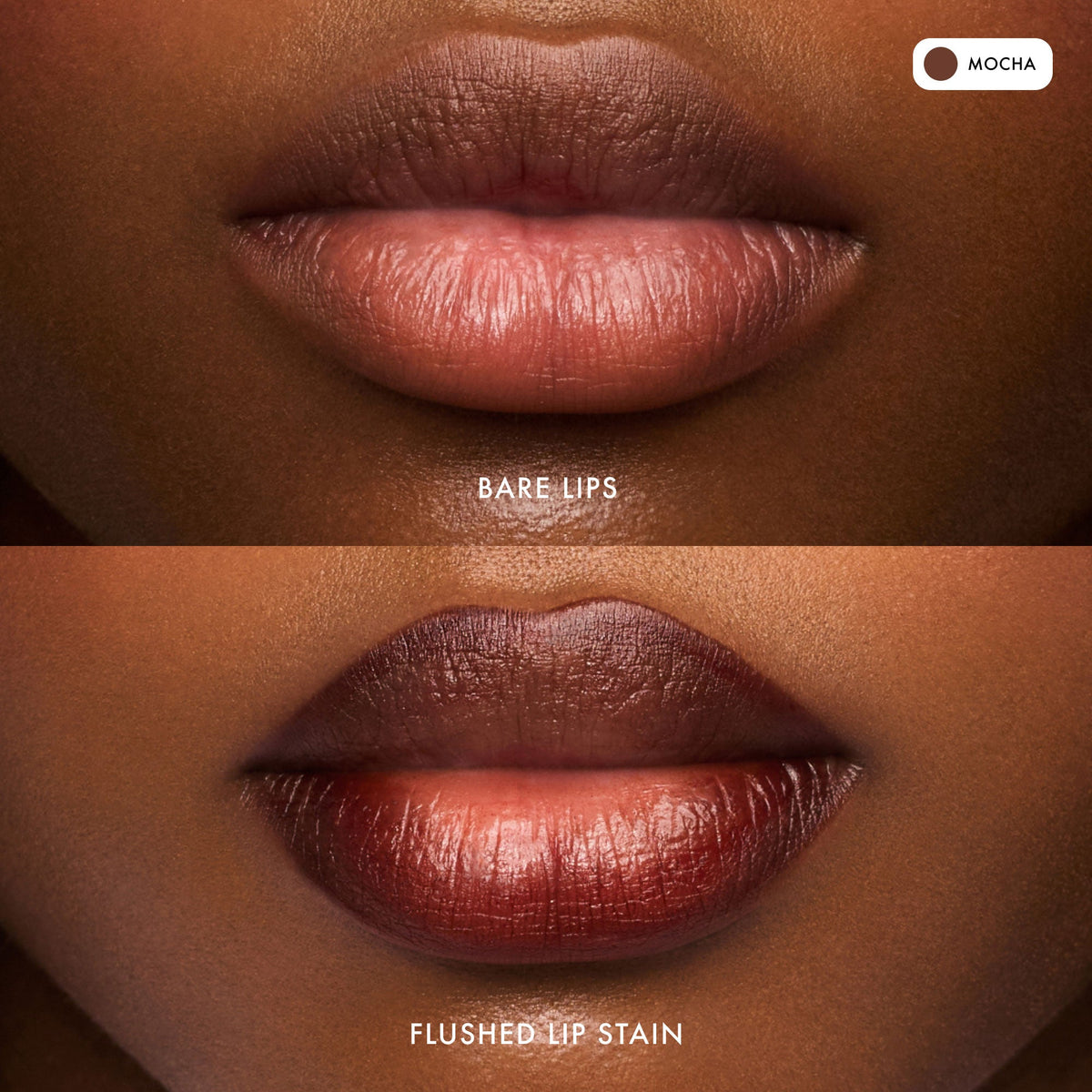 flushed-lip-stain-mocha-q8 FlushedLipStain_Mocha_B_A.jpg