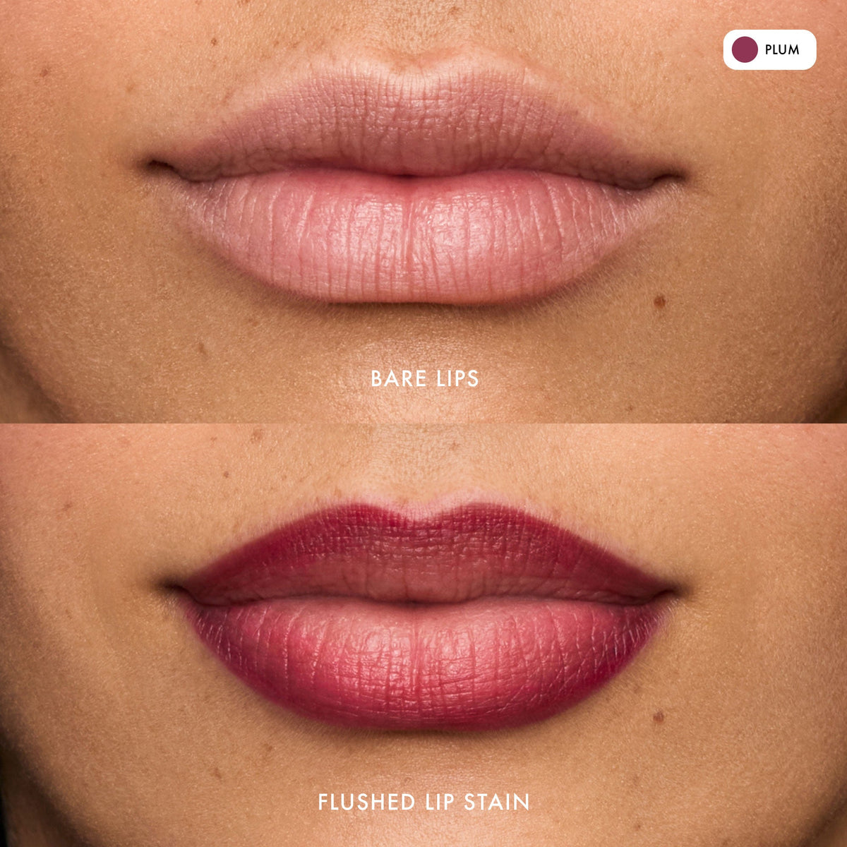 flushed-lip-stain-plum-n2 FlushedLipStain_Plum_B_A.jpg