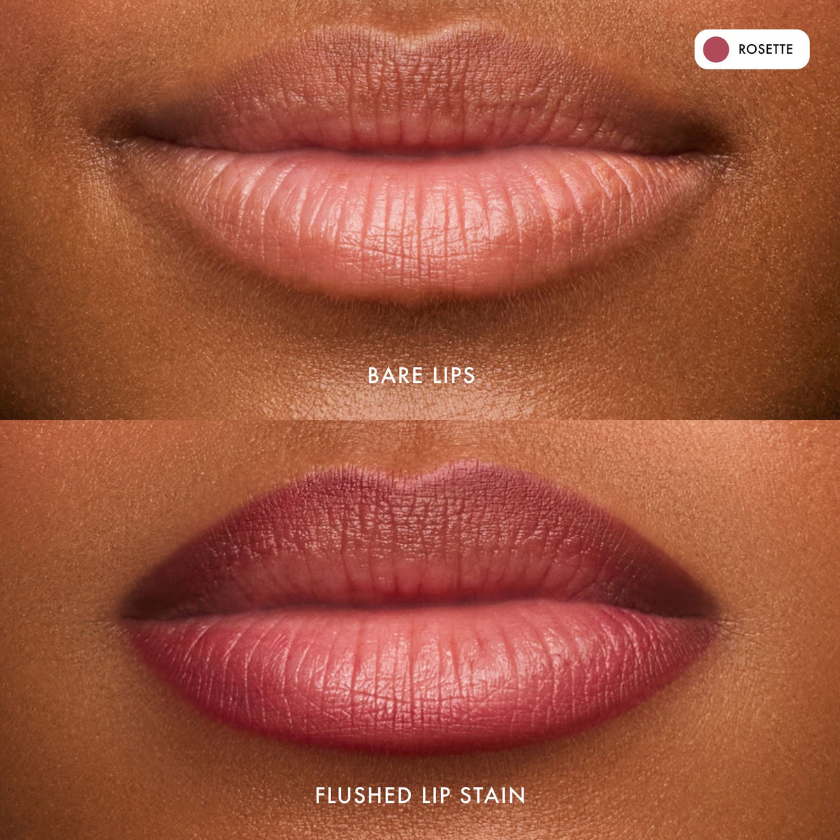 flushed-lip-stain-rosette-h2 FlushedLipStain_Rosette_B_A.jpg